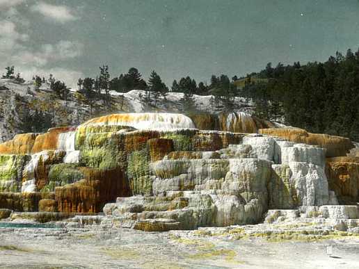 Mammoth Hot Springs