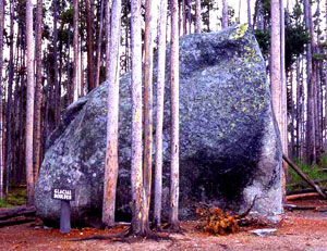 Glacial Boulder near Inspiration Point. Grand Canyon of the Yellowstone photo by NPS.gov
